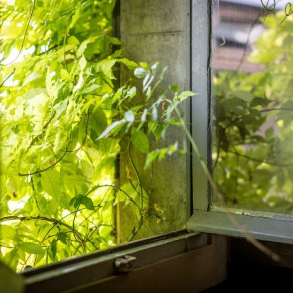 Tournier immo rue vesoul HD Yoan Jeudy-20