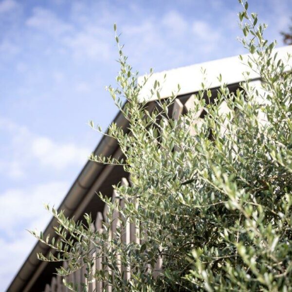 Tournier immo rue vesoul HD Yoan Jeudy-31